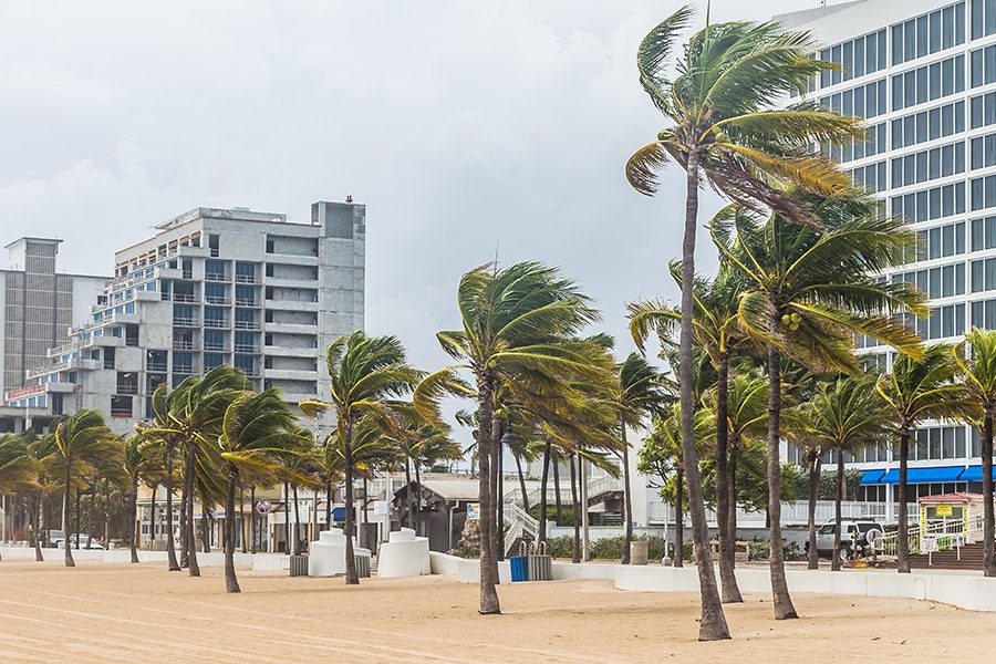 Commercial Hurricane Insurance - Palm Trees Blowing in the Wind at a Beach During Hurricane